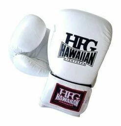 HFG PLATINUM II TRAINING GLOVES