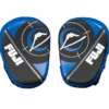 Fuji Precision Striking Focus Mitts