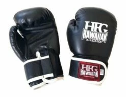 HFG KIDS BOXING GLOVES