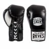 CLETO REYES Professional Boxing Gloves (8oz, 10oz)