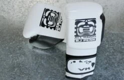 VK X ALLHAWAII X BJPENN BOXING GLOVES