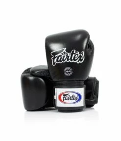 Fairtex BGV1 Boxing Gloves
