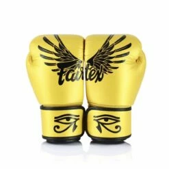 Fairtex BGV1 BoxingGloves/Falcon