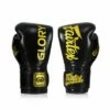 Fairtex BGVG1 Boxing Gloves/X Glory