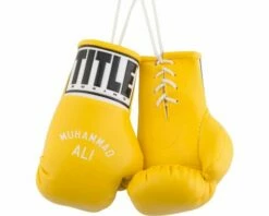 TITLE Ali 5" Mini Boxing Gloves