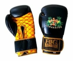 HFG BOXING GLOVE "ILIMANATOR MODEL"
